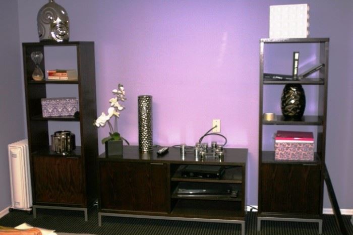 Media Cabinet and Shelves with Decorative
