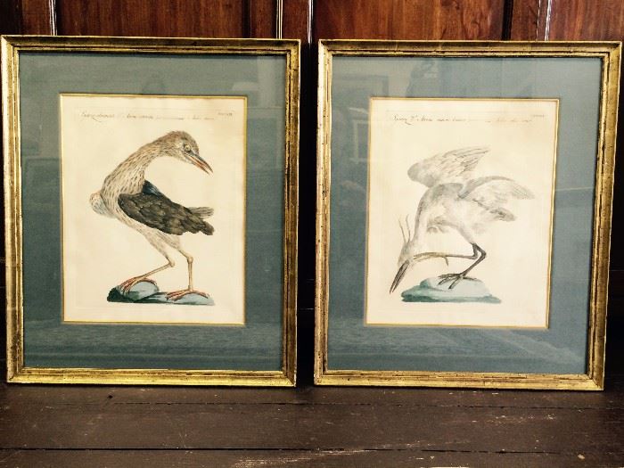 Antique Bird Prints C.1800    $625 for the pair  25%off: $469