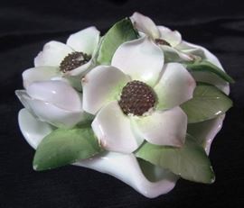 Royal Adderly dogwood