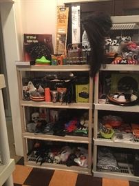 Halloween decorations (plastic shelves are NOT FOR SALE)