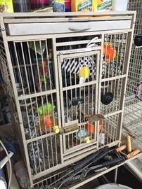Large birdcage holding Amazon parrot.
