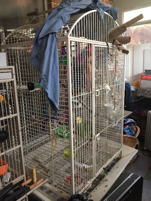 Largest cage holding talkative parrot who oinks! And Meeows!!