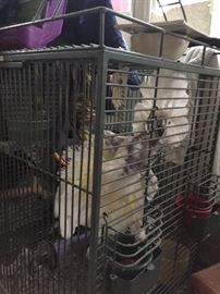 Large Square bird cage