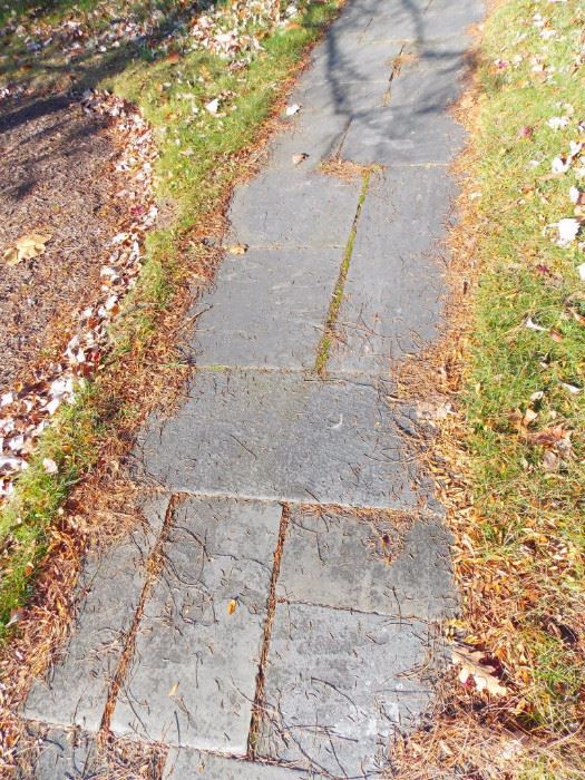 bluestone blue stone slate Walkway Walk Way Patio
