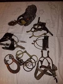 Horse
Western
Bits
Spurs
Horse
Country