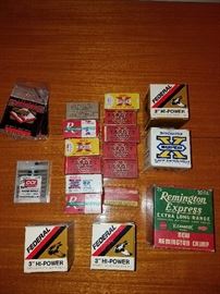 Ammo
Ammunition
Hunting
Shooting