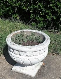 concrete planter