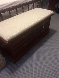 Multi-purpose storage chest with padded seat