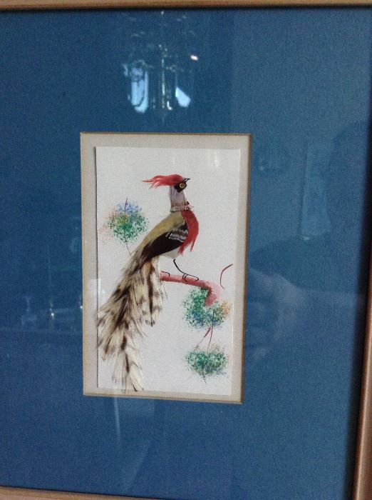 Bird pictures with real feathers under the glass
