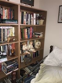BOOKSHELVES AND BOOKS