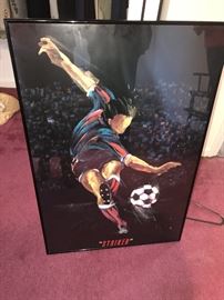 FRAMED POSTER