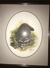 DON BALKE SIGNED LITHO -RACCOON PICTURE
