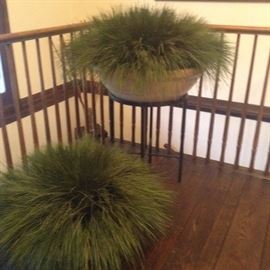 Preserved grass greenery 