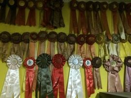 Equestrian ribbons!