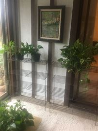 Two vintage metal stands. There are also numerous live plants in excellent condition that will be for sale. Would make a great Christmas gift that you could embellish yourself!