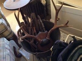 TROPHY HORNS OF ALL KINDS