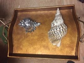 tray and shells