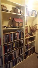 Books and enough of them to read on Noah's Ark