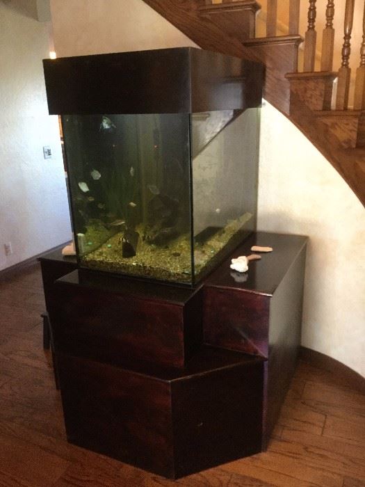  Self-contained 100 gallon fish tank with many, many beautiful tropical fish. $350 OBO
