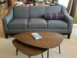 Newer Gray Couch