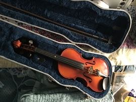 Violin