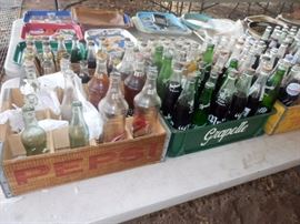 Soda Bottle Collection