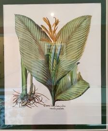 Pair of Signed Hand Colored Ponte Vecchio Botanical Artwork (32" x 36")  
