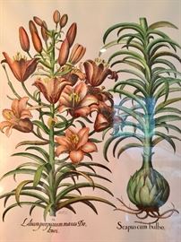 Pair of Signed Hand Colored Ponte Vecchio Botanical Artwork (32" x 36")  