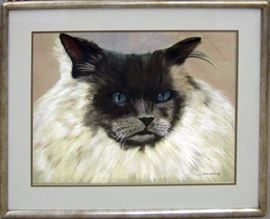 For any information please contact us at (703) 942-8965