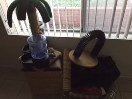Cat toys, beds, food and water holders