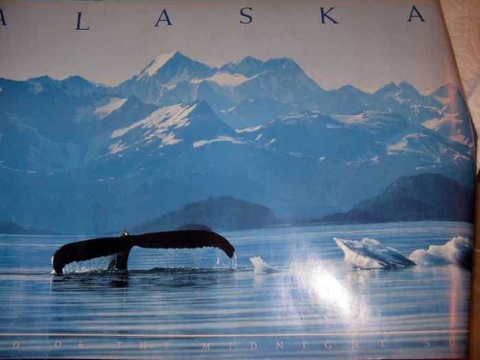poster "Alaska Land of Midnight Sun"