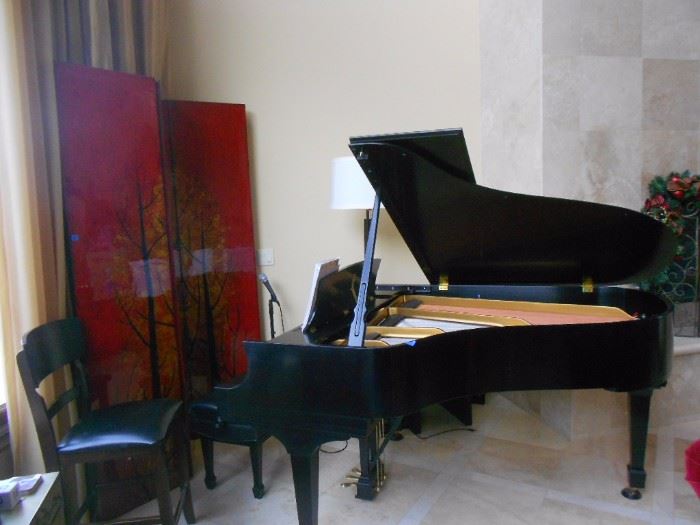 Piano is one of only a few items not for sale, but there is an electric keyboard and two guitars in another room that are for sale.