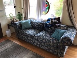 OTHER SOFA, END TABLE, GREY CAT TOO NAMED GODFREY, NEEDS THYROID MEDICINE DAILY, SWEET CAT, LOVES PEOPLE