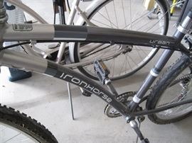 Urban Ironhorse bike