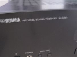 Yamaha, Natural Sound Receiver 