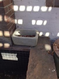 Cool planter, cement, or small trough