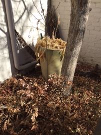 Pot