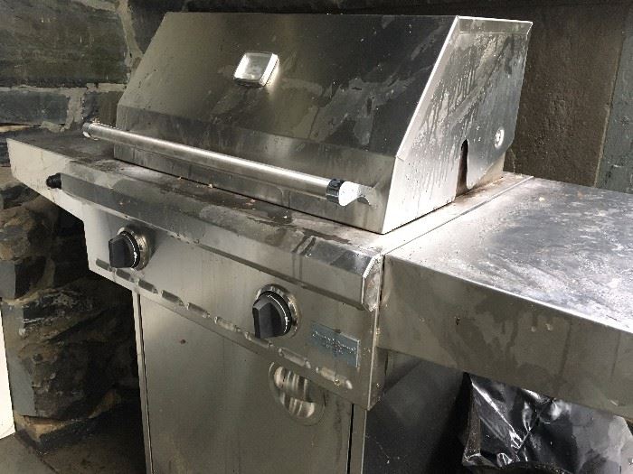 Stainless Gas Grill