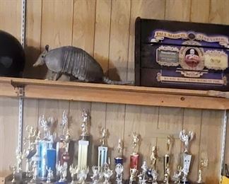 Tons of trophies and of course, an armadillo.
