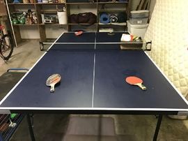Ping Pong Table and Accessories