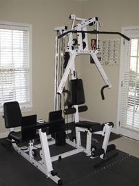 Body - solid Bi Angular work out system