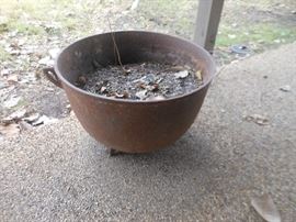Witches pot