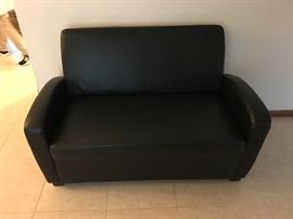 One of two sleeper love seats 