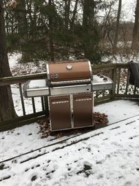 Weber Gas Grill