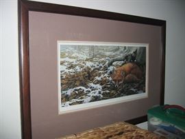 Wildlife art print of fox