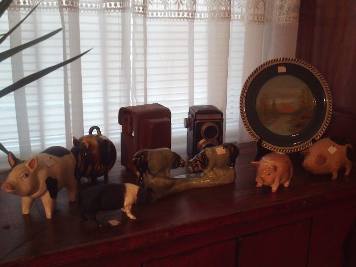 Pig Collection,Antique Camera,Hand Painted Plate
