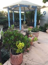 Gorgeous potted terracotta planters with beautiful plants.  Garden benches, statuary, patio furniture.