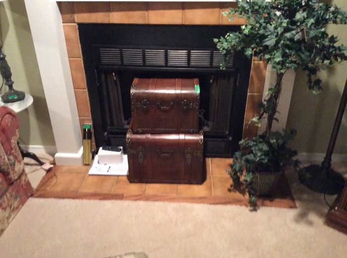 Tree & chests in front of fireplace