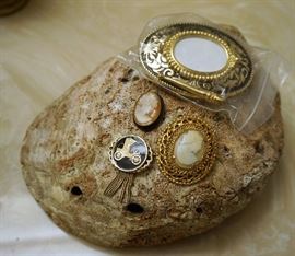 Ladies jewelry and abalone shell