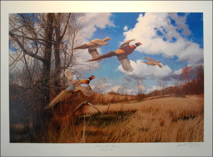  TOMAHAWK TRAIL – PHEASANTS
This is a limited edition, signed print, by foremost wildlife artist David A. Maass. During his long career, he has designed more than 35 conservation stamps, including 2 Federal Duck Stamps. His numerous gallery showings have included the Smithsonian in Washington D.C. and countless magazines, journals, and books.  The image size is 18” wide by 12” deep with a cream border surrounding. Overall size is 21” x 15.5”.          